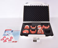 Go-Dent Schaumodell mit Koffer, Dental, Zahntechnik