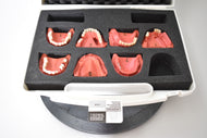 Go-Dent Schaumodell mit Koffer , Dental, Zahntechnik