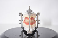 Condylator Gerber mod.6 Artikulator mit modell
