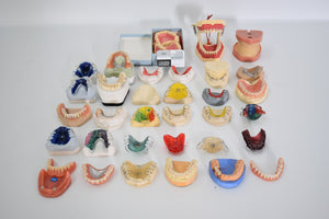 verschiedene Schaumodelle , Dental, Zahntechnik