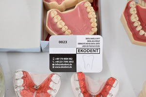 verschiedene Schaumodelle , Dental, Zahntechnik