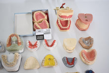 Laden Sie das Bild in den Galerie-Viewer, verschiedene Schaumodelle , Dental, Zahntechnik