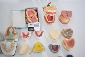 verschiedene Schaumodelle , Dental, Zahntechnik
