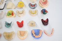 Laden Sie das Bild in den Galerie-Viewer, verschiedene Schaumodelle , Dental, Zahntechnik