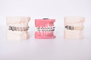 Schaumodell, Dentaurum Dental, Zahntechnik